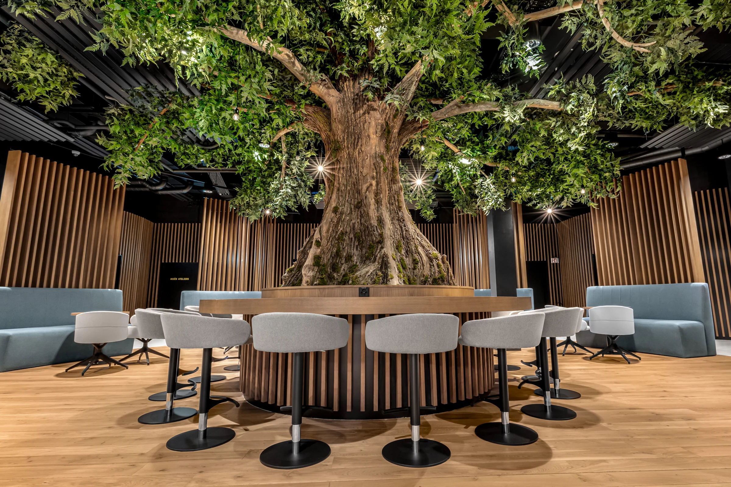 Beezi : comptoir et assises IAKO autour d’un arbre dans l’espace partagé